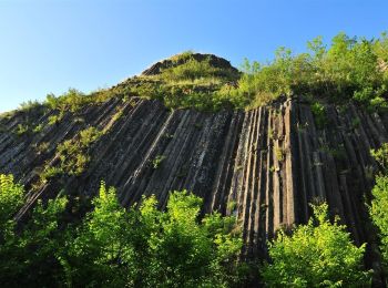 Excursión Senderismo Saint-Rémy-de-Chargnat - St_Remy_Pic_Usson - Photo