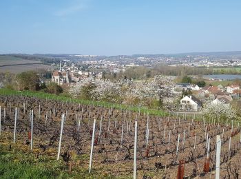 Trail Walking Château-Thierry - D'une rive à l'autre par Azy - Photo