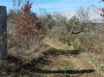 Excursión Senderismo Pradines - La Gourdonne_Les Rescoussiès 6 - Photo