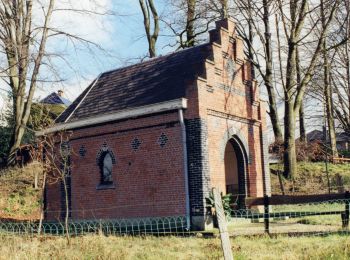 Tocht Te voet Dilsen-Stokkem - Bergerven Gele zeshoek - Photo