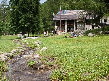 Trail On foot Roure - IT-510 - Photo
