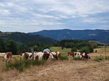 Tour Wandern Belsentes - Autour de la Chazalet  - Photo