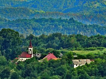 Excursión A pie  - Gabrovica - Kravljak - Photo