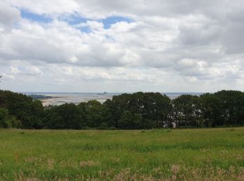 Tocht Quad Sartilly-Baie-Bocage - Patrick  - Photo