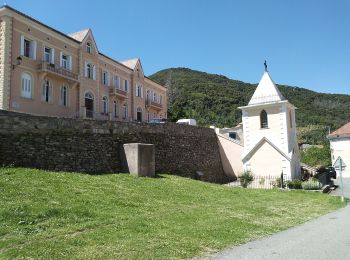 Tocht Stappen Campile - Boucle de Monte Castellare - Photo