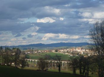 Trail Walking Saint-Symphorien-de-Lay - St Symphorien de Lay - Photo