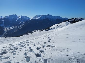 Trail Snowshoes Hauteluce -  Mont clocher bis - Photo