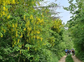 Randonnée Marche Geville - Gironville sous les côtes - Photo