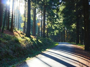 Percorso A piedi Südharz - Wanderweg 