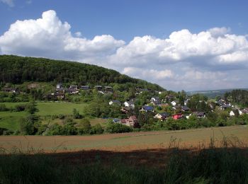 Randonnée A pied Beverungen - B7 - Über den Eisberg nach Roggenthal - Photo