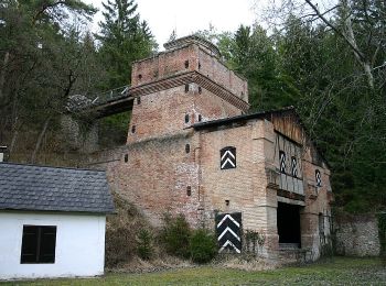 Tocht Te voet Gemeinde Bad Erlach - Kulturwanderweg Bad Erlach (KWW) - Photo