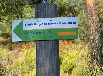 Percorso Marcia Bagnols-en-Forêt - Crête Diaou et gorges du Blavet - Photo