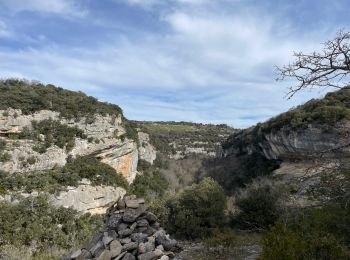 Tocht Stappen Buoux - PF-Buoux - Sivergues - Le Vallon de l'Aigue Brun - Reco - 25.03.2024 - Photo