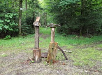 Randonnée Marche Beaumont-Louestault - 2019.06.13-7.8km-Beaumont la Ronce - Photo