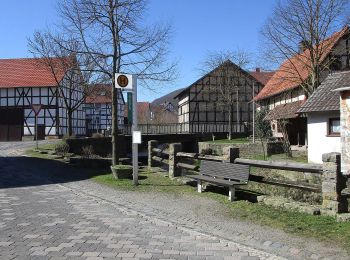 Tour Zu Fuß Edertal - Nationalparkrundweg Locheichen-Route - Photo