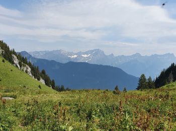 Randonnée Marche Leysin - la Rionda - Photo