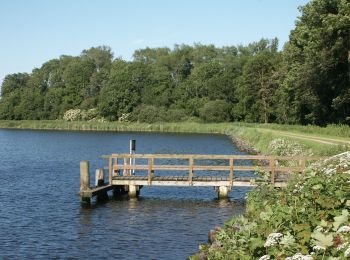 Percorso A piedi Sehestedt - Wanderroute 12: Bünsdorf - Sehestedt - Photo