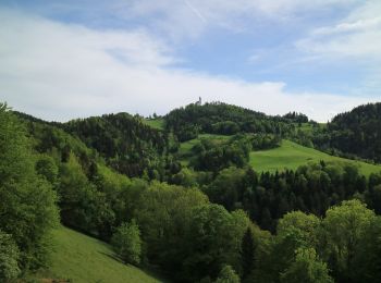 Tocht Te voet Leutschach an der Weinstraße - Kleeblattwanderweg Nr. 2 - Photo