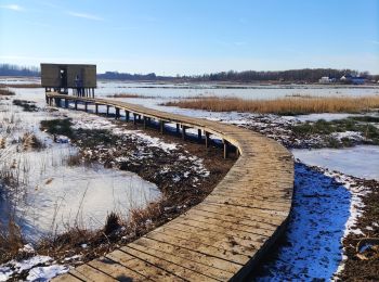 Percorso Marcia Zoutleeuw - Promenade romantique dans la Vallée de la Gette - Photo