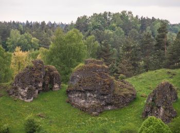 Tour Zu Fuß Alfeld - Rundweg Alfeld–Windloch - Photo