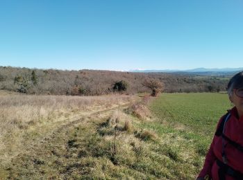 Tour Wandern Pierrerue - pierrerue. les 5 hameaux. la selle de la fare - Photo