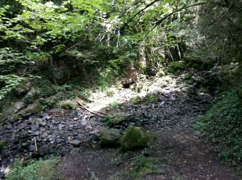 Tocht Lopen Etsaut - ETSAUT Chemin de la mâture col d Arras - Photo