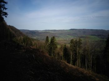 Trail Walking Orgeans-Blanchefontaine - Orgeans Rocher du Boubet et Grottes de Waroly (IBP 89 ) 26 avril 2021 CAF - Photo