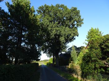 Tocht Te voet Kalkar - Mühlenwanderweg - Photo