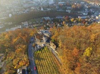 Excursión A pie Wettingen - Schartenfels - Lägernsattel - Photo