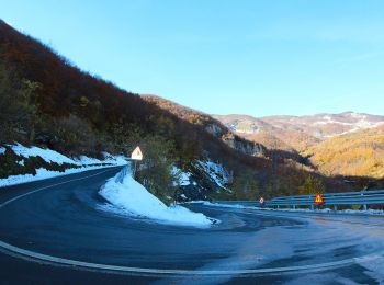 Tour Zu Fuß Fivizzano - Pratizzano - Collagna - Cerreto Alpi - Lago Pranda - Passo Crocetta - Photo