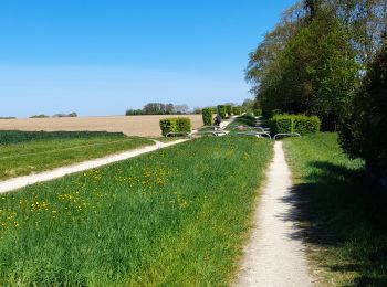 Percorso Marcia Thorigny-sur-Marne - Carnetin - Aqueduc de la Dhuys - Forêt des Vallieres - Photo