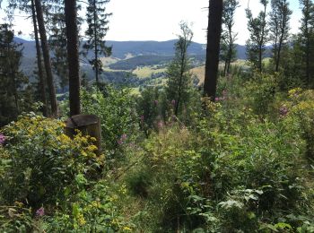 Percorso Mountainbike Lapoutroie - Les Alisiers - Lacs Blanc et Noir - Orbey  - Photo