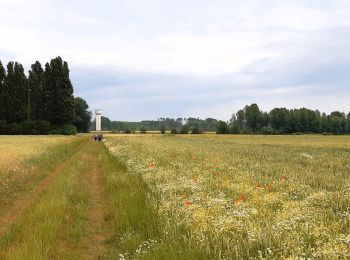 Percorso Marcia Marchiennes - Marchiennes - Photo