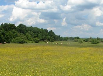 Tour Zu Fuß Magyarföld - K+ (Felsőszenterzsébet - Péter-hegy - Magyarföld) - Photo