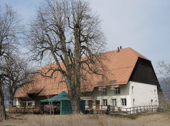 Randonnée A pied Soleure - Solothurn HB - Lohn Lüterkofen - Photo