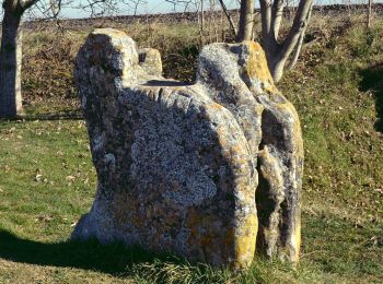 Randonnée Marche Saint-Genès-du-Retz - St_Genes_Retz_Pierre_Sanglante - Photo