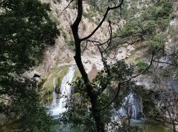 Excursión Senderismo Termes - Termes Nitable Roc - Photo