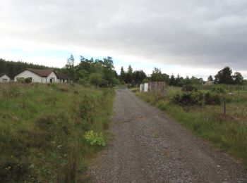 Excursión A pie  - Badenoch Way - Photo