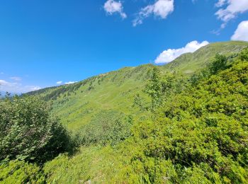 Trail Walking Monthion - traverser du col de la dent du corbeau en par le col de la grande Lanche  - Photo