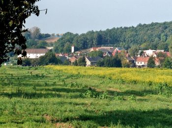 Excursión A pie Mertendorf - Zwei Täler Rundweg - Photo