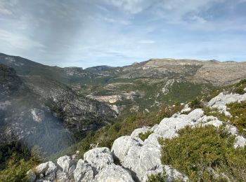 Excursión Senderismo Trigance - Trigance : Rancoumas-Carajuan - Photo