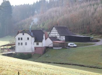 Percorso A piedi Esselbach - Ortswanderweg Hafenlohr 5 - Photo