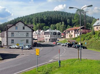 Tour Zu Fuß Neuhammer - [Č] Hamerská stezka - Photo