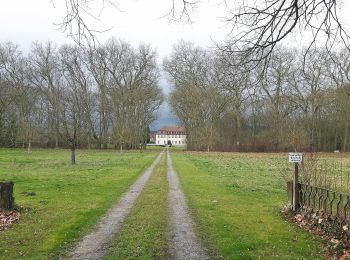 Tocht Te voet Freudental - Rotes Kreuz Freudental - Sachsenheim - Photo