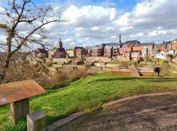 Randonnée Marche Thuin - Thuin - De la Biesmelle à la Sambre - Photo