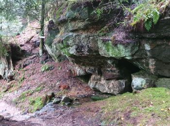 Excursión Senderismo Saint-Étienne-lès-Remiremont - Le sentier des Pourdingues - Photo