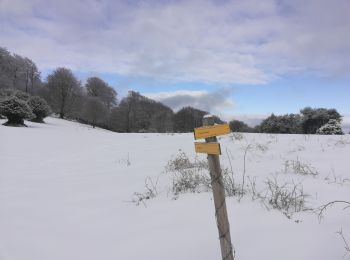 Tocht Stappen Sarrancolin - cabane Artigueluz - Photo