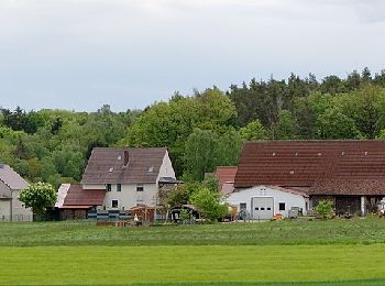 Excursión A pie Großenseebach - Seebachgrund-Wanderweg - Photo