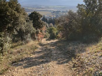 Randonnée Marche Manosque - La Tour du Mont d'Or  - Photo