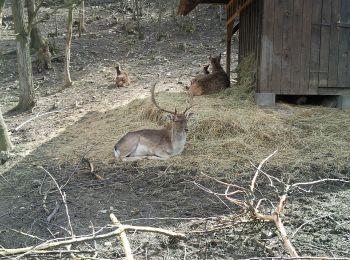 Percorso A piedi Skuteč - CZ-7342 - Photo